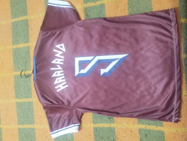 Camiseta Noruega HAALAND - Image 2